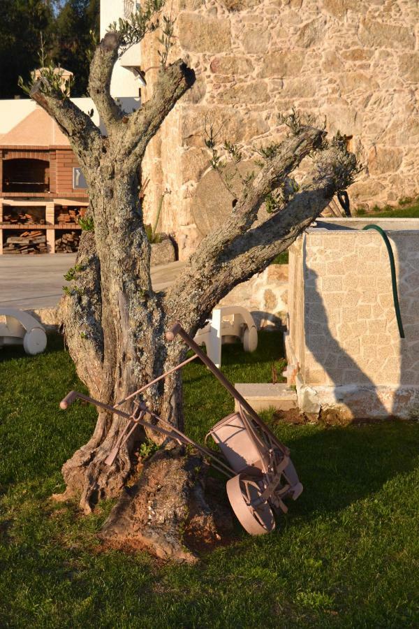 Casa Da Trapa Villa Oliveira de Azemeis Eksteriør bilde